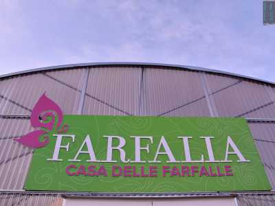 Farfalia-la casa delle farfalle�, inaugurata il 2 giugno a Monopoli, in provincia di Bari